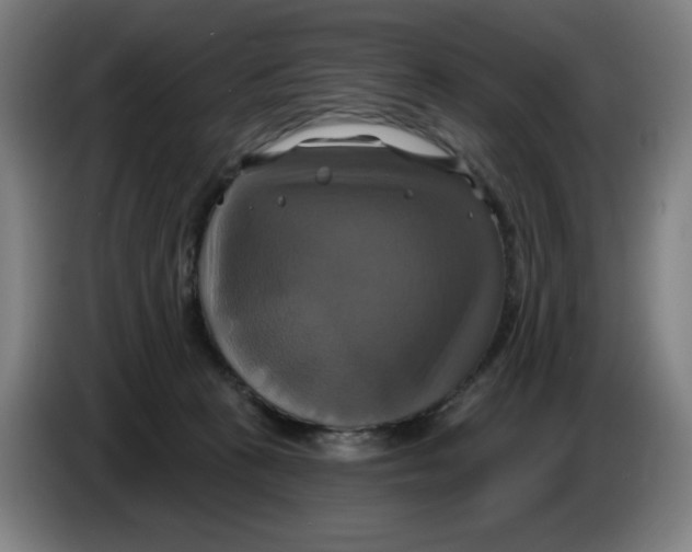 X0000086220273200704191745