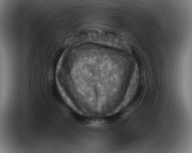 X0000086220274200704191745