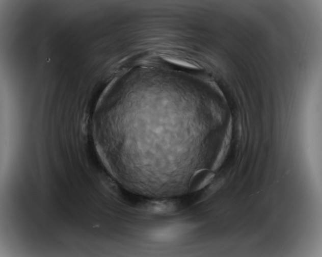 X0000086220275200704191745