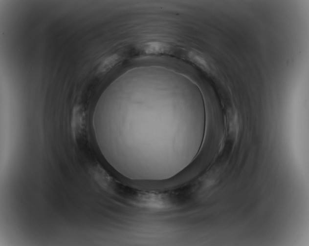 X0000086220276200704191745