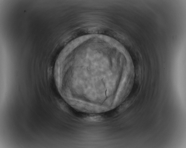 X0000086220278200704191745