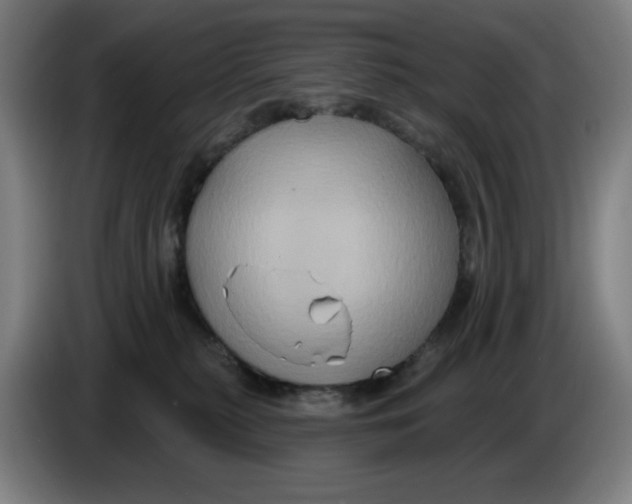 X0000086220279200704191745