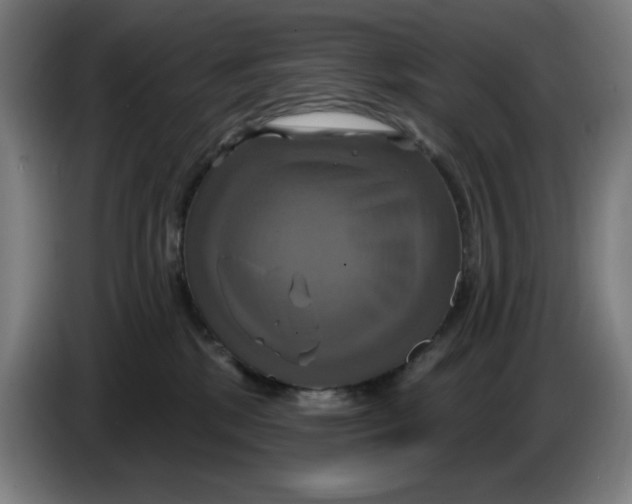 X0000086220281200704191745