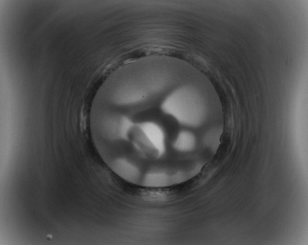 X0000086220282200704191745