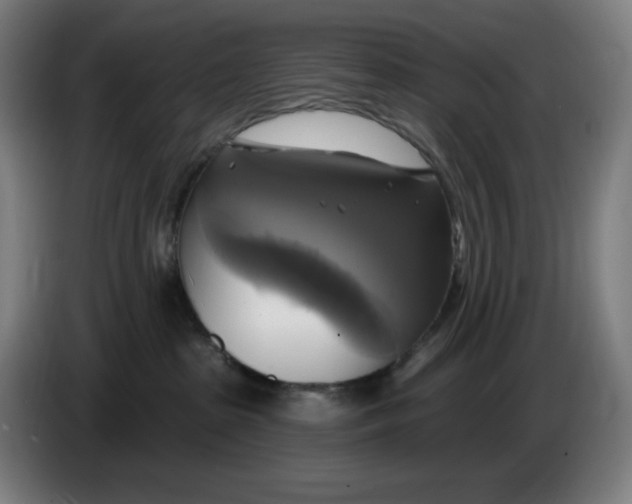 X0000086220285200704191745