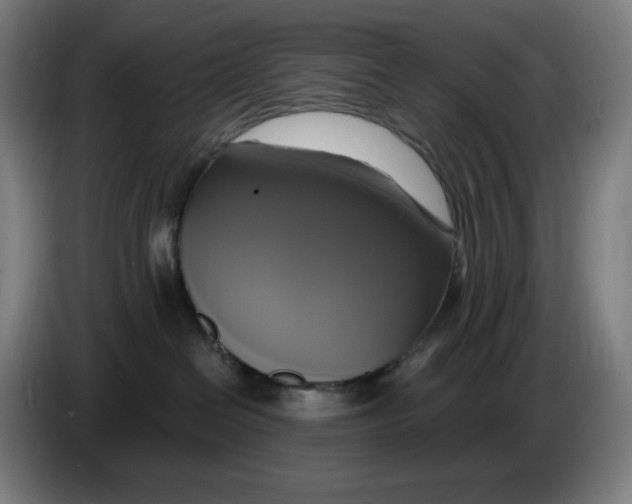 X0000086220286200704191745