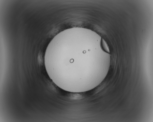 X0000086220287200704191745