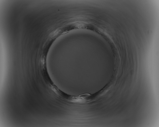 X0000086220288200704191745