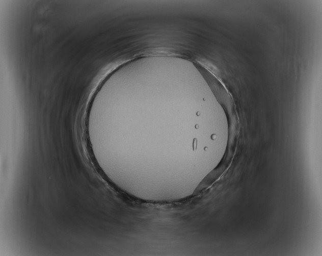 X0000086220289200704191744