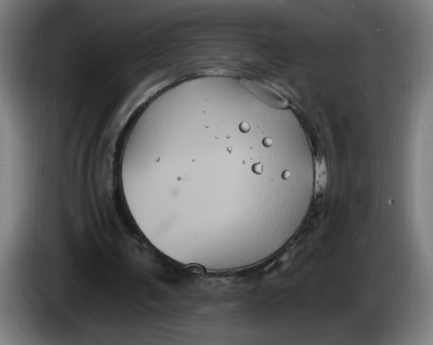 X0000086220291200704191744