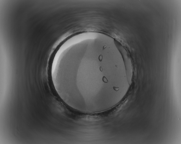 X0000086220292200704191744