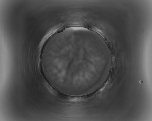 X0000086220293200704191744