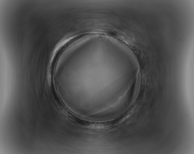 X0000086220294200704191744