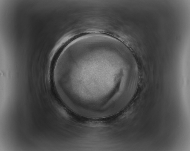 X0000086220296200704191744