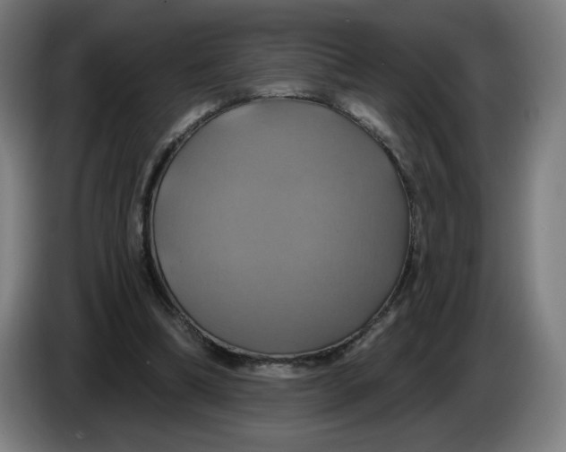 X0000086220298200704191744