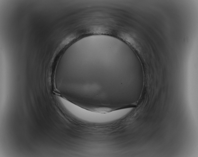 X0000086220299200704191744