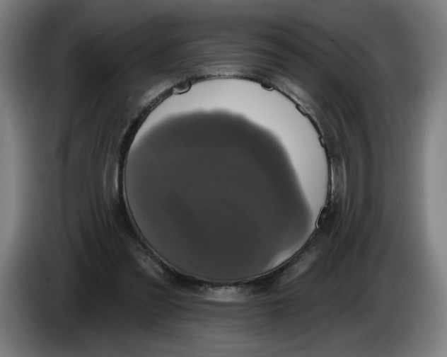 X0000086220301200704191744