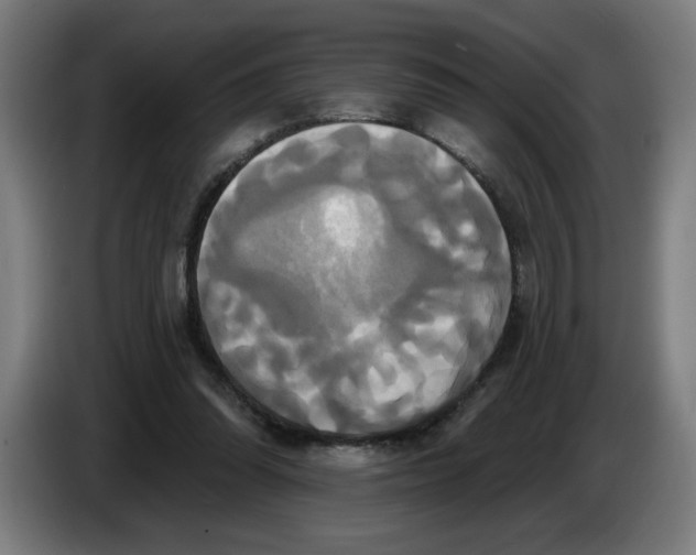 X0000086220302200704191744