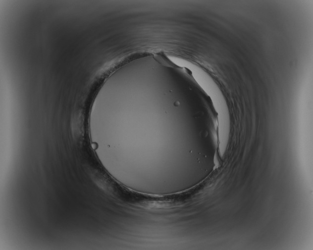 X0000086220303200704191744