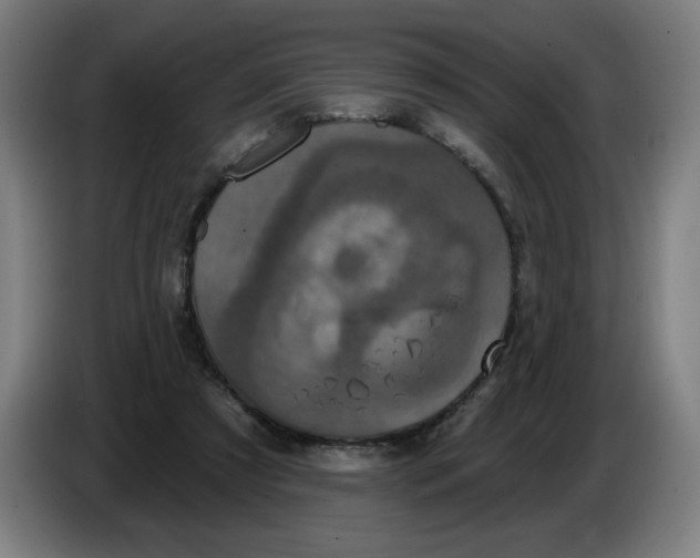 X0000086220305200704191744