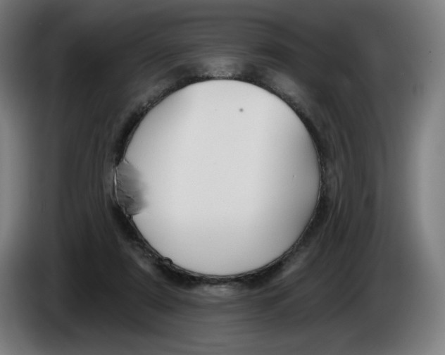 X0000086220307200704191744