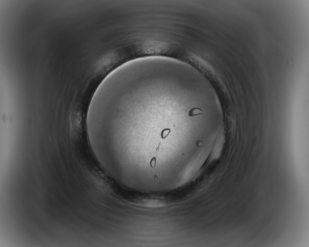 X0000086220308200704191744