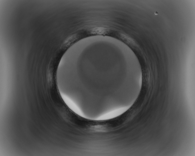 X0000086220312200704191744