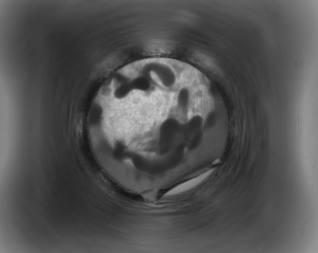 X0000086220315200704191744