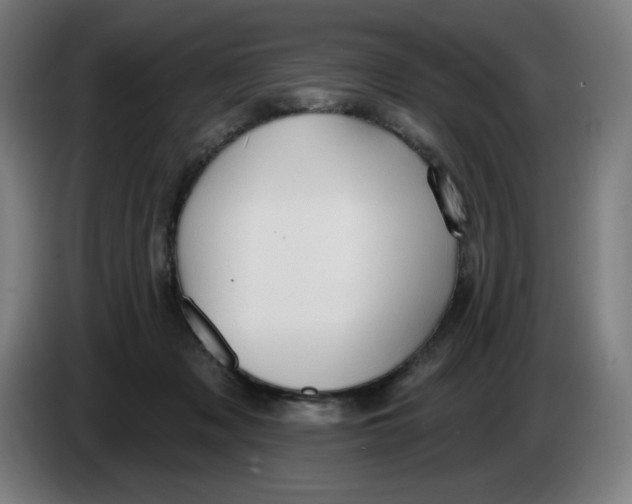 X0000086220317200704191744