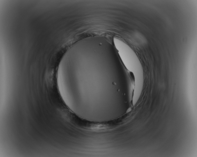 X0000086220319200704191744