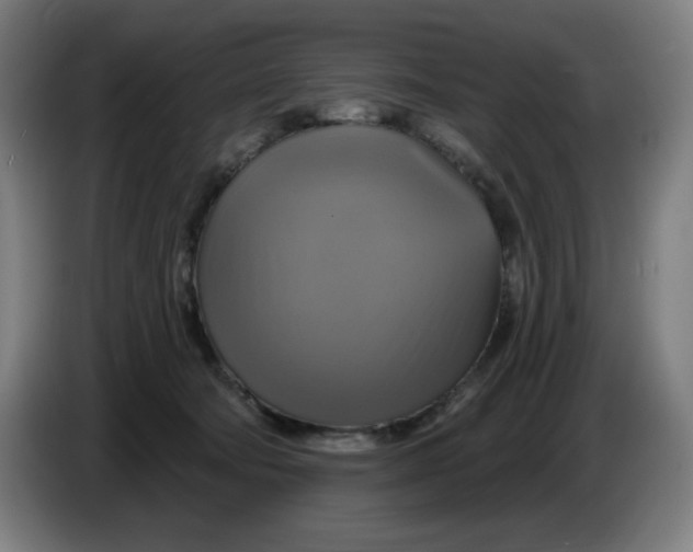 X0000086220322200704191744