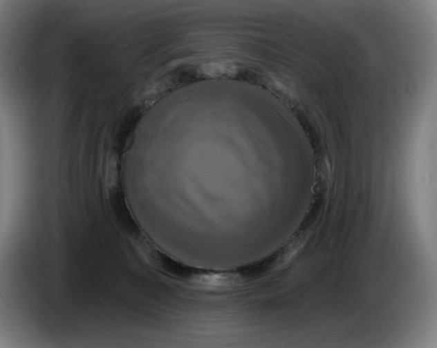 X0000086220323200704191744