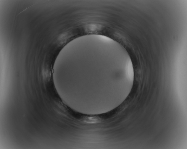 X0000086220324200704191744