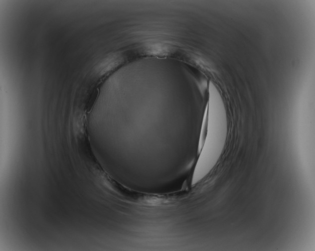 X0000086220325200704191744