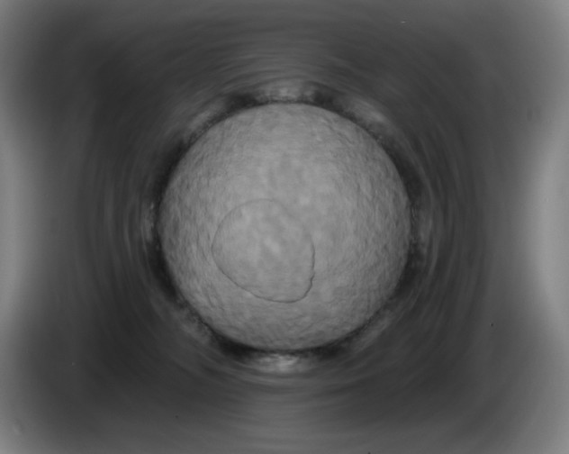 X0000086220326200704191744