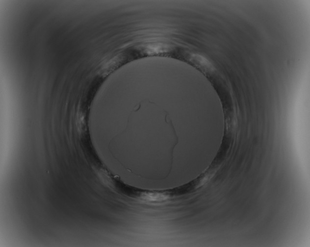 X0000086220327200704191744