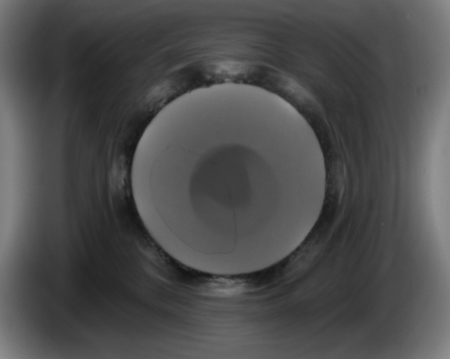 X0000086220328200704191744