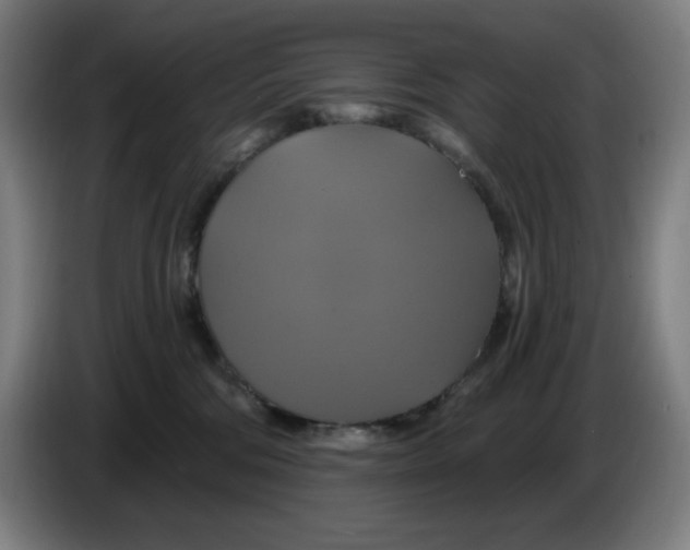 X0000086220330200704191744