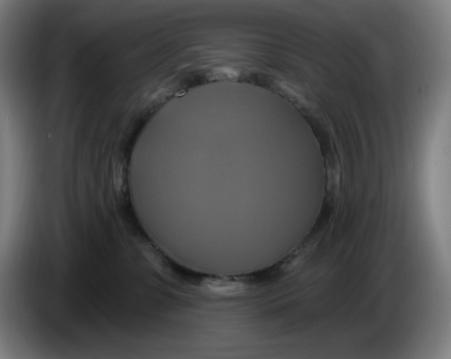 X0000086220331200704191744