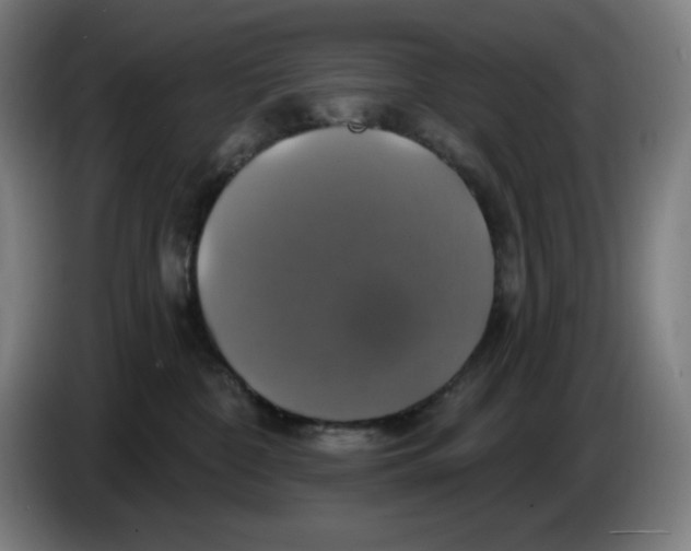 X0000086220332200704191744