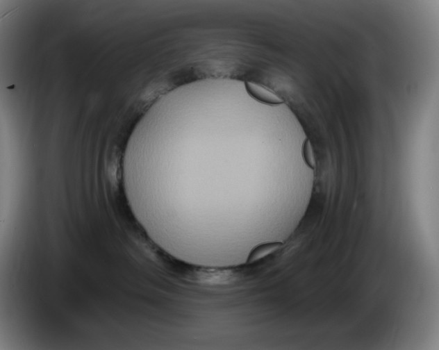 X0000086220334200704191743