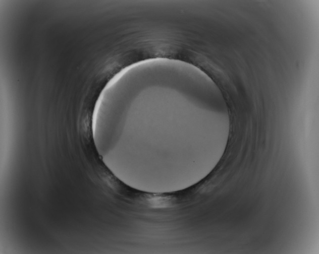 X0000086220336200704191743