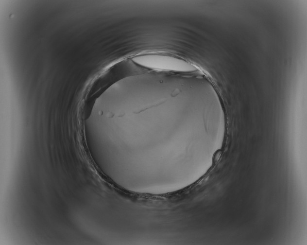 X0000086220337200704191743