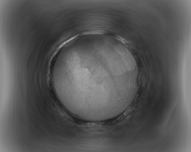 X0000086220338200704191743