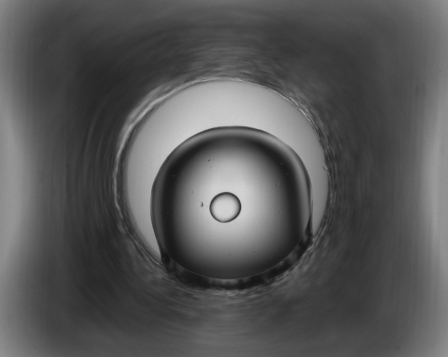 X0000086220340200704191743