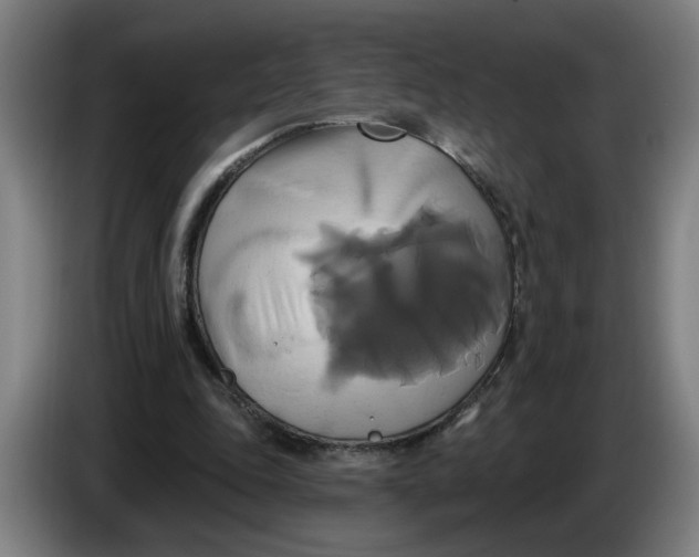 X0000086220343200704191743