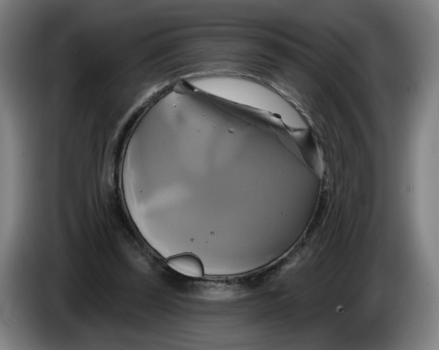 X0000086220347200704191743