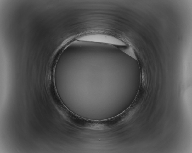 X0000086220348200704191743