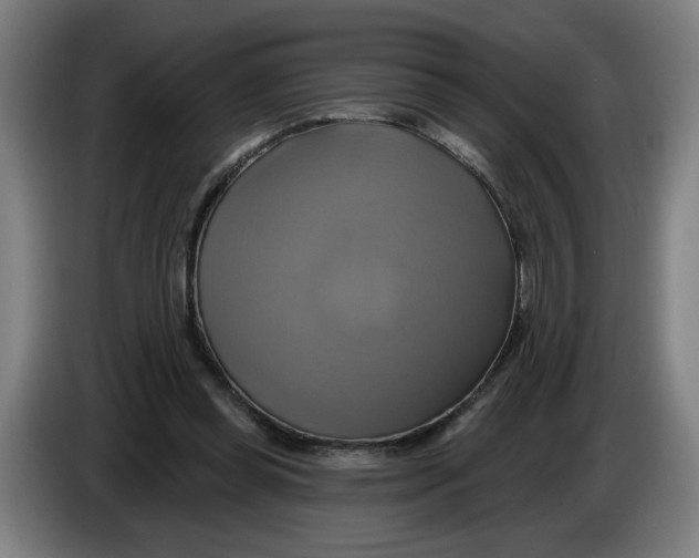 X0000086220349200704191743