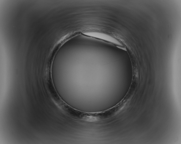 X0000086220352200704191743